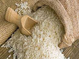 Rice